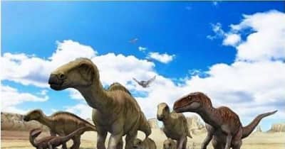 「ボーンベッド」＝たくさんの恐竜の骨を含んだ地層　宝の島・獅子島　貴重な発見 クビナガリュウののどからも