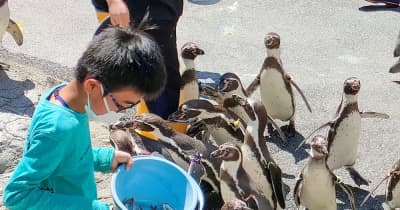 ペンギンの餌やり、清掃　児童が奮闘　「1日飼育係」体験