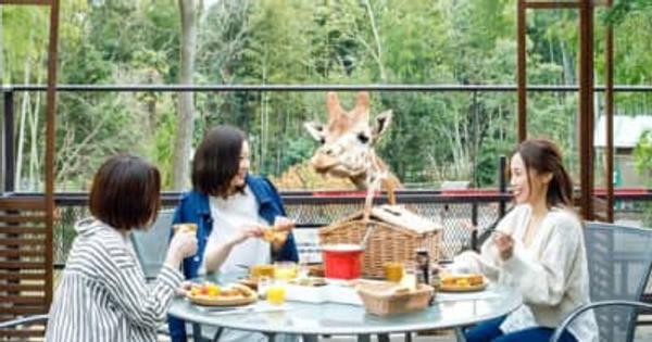 動物園×グランピングのTHE BAMBOO FORESTが大好評の「キリンと朝食オプション」を4月よりスタート！