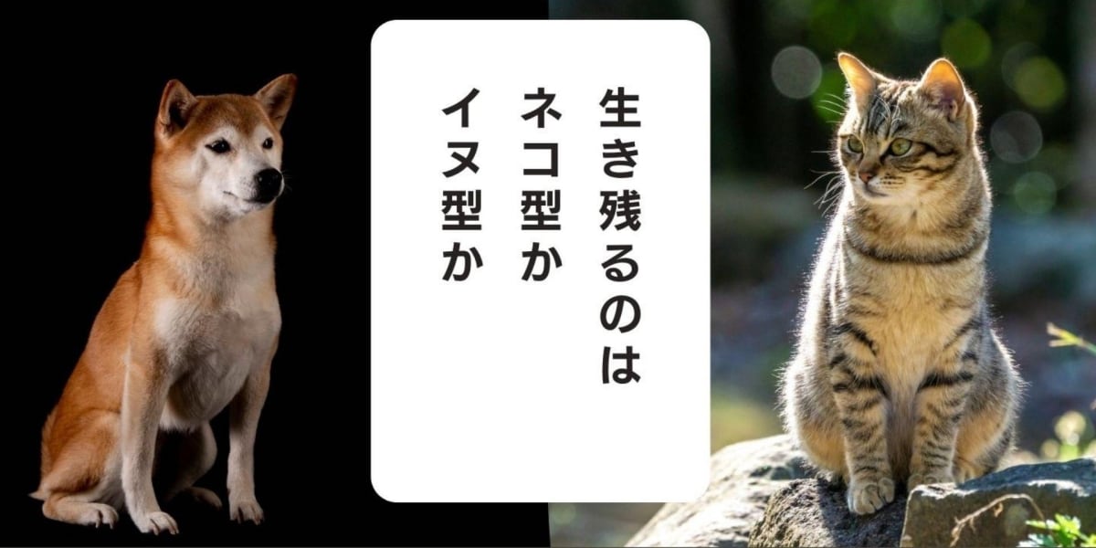 日本の職場を支えた「イヌ型」人材は絶滅するのか、次世代を生きる「ネコ型」