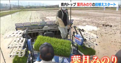 新潟県内トップ「葉月みのり」の田植え始まる