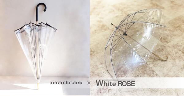 革靴メーカー マドラスが300年続くホワイトローズ社とコラボ　ビニール傘を発売