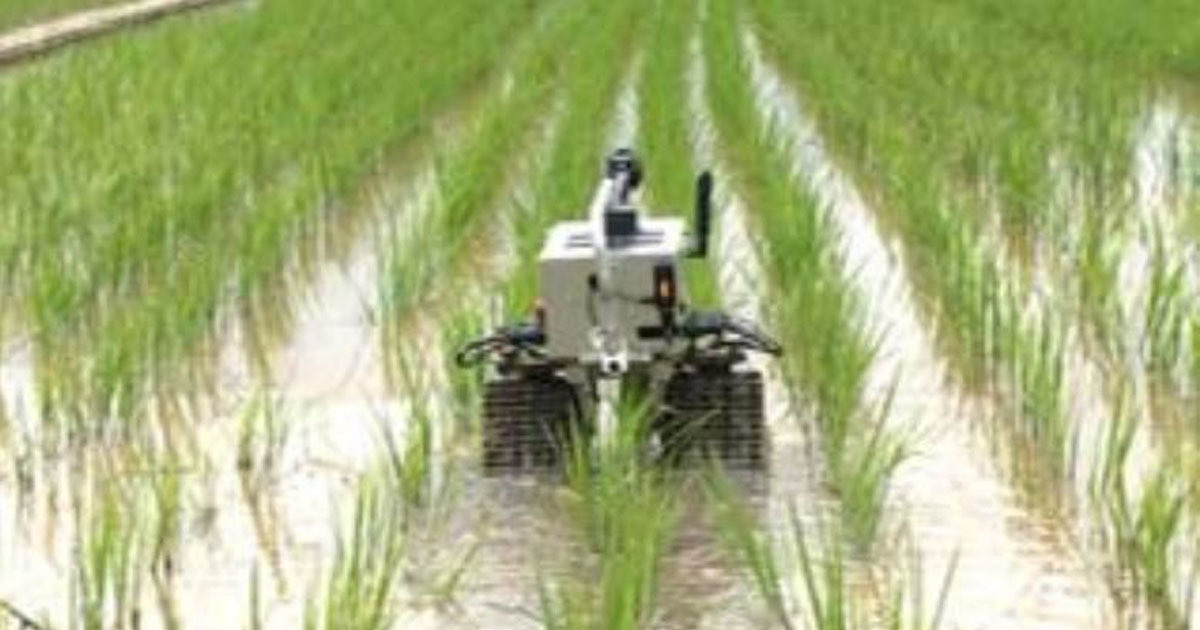 ドコモ、佐渡で棚田の減農薬に向けた実証 ‐ ドローンや水田除草ロボット活用