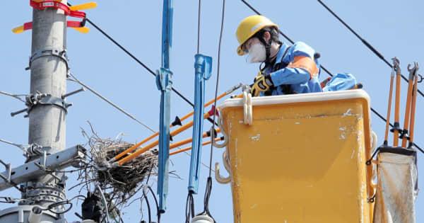 停電招くカラスの巣　撤去作業を公開　東北電力ネットワーク