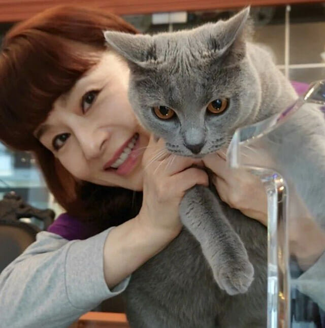 大地真央が「VOGUE JAPAN」で猫愛を披露　インスタでは猫になりきり？