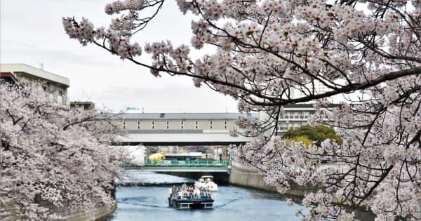 目黒川の桜人気に感慨～京急・新馬場の思い出