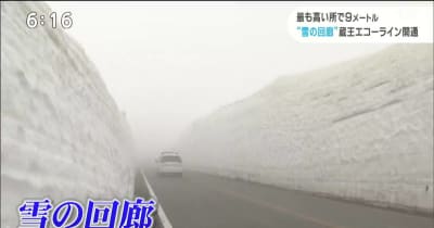 高さ９メートル　「雪の回廊」蔵王エコーライン開通　宮城