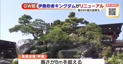 高さが8メートルを超えの盆栽が目玉　「伊勢忍者キングダム」がリニューアル　三重県伊勢市