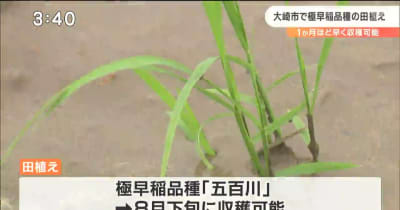 8月には収穫　極早稲品種の田植え始まる　宮城・大崎市