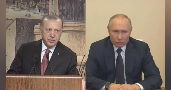 トルコ大統領　ロシア・プーチン大統領と電話会談「停戦交渉での前向きな勢いの維持を」