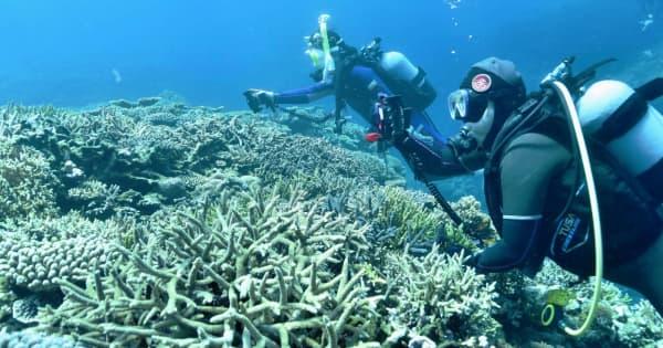 ［沖縄days］日本最大のサンゴ礁