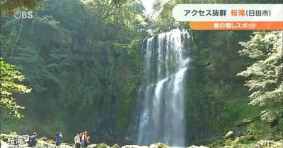 秘境の雰囲気を味わえる「桜滝」 大分・日田市