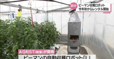 スマート農業を目指す　ピーマン自動収穫ロボット　最新モデル発表・宮崎県