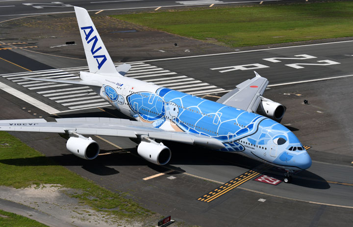 ANA、A380を7月から定期便再投入　ホノルル週2往復