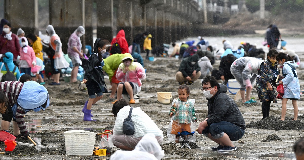 愛知・竹島海岸で潮干狩り　アサリ求め雨天でもにぎわう