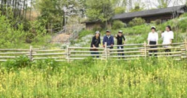 交流拠点「花立公園」完成　福島・飯野、15日まで花まつり開催