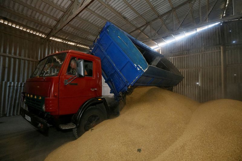 ウクライナ産穀物数千万トン失われる恐れ、ロシア封鎖で＝大統領