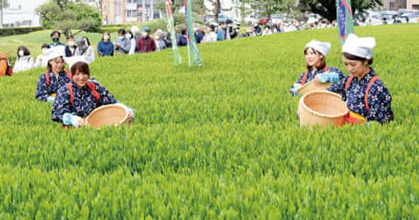 新茶が楽しみ、市民ら2千人が来場　埼玉・入間で新茶まつり、3年ぶり開催　県の誇り、狭山茶を身近に