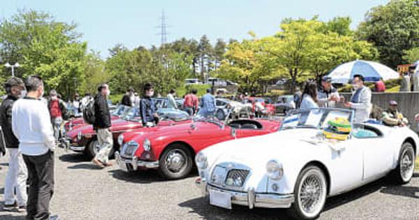 クラシックカーミーティング　往年の名車を展示　家族連れらにぎわい　糸魚川市ＦＭＭ
