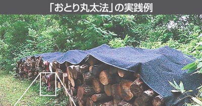 青森県内で効果　ナラ枯れ対策「おとり丸太法」、秋田や岩手に拡大へ