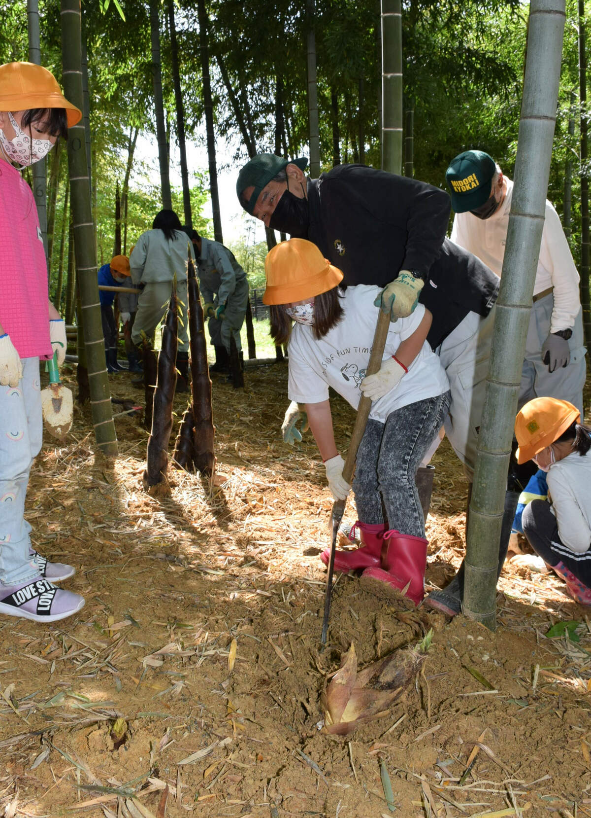 専用道具でタケノコ掘りに挑戦　京都・長岡京の小学生ら歓声