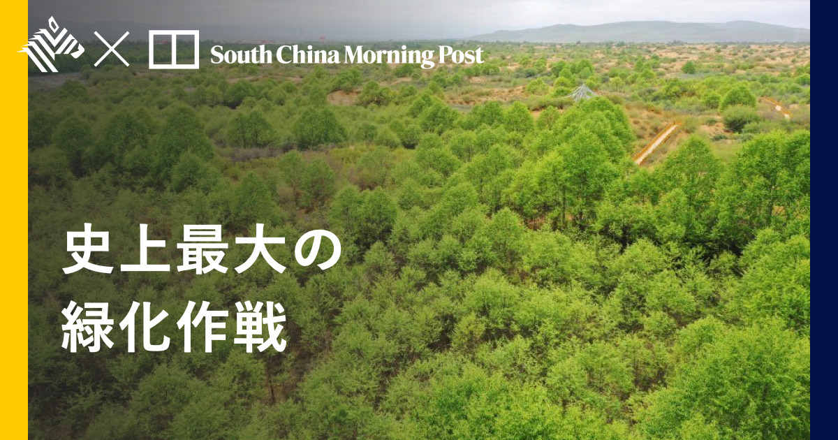 【解説】中国が奔走「超大型植林計画」の脱炭素効果