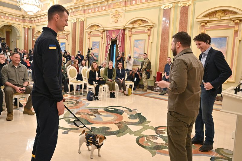 ウクライナ地雷探知犬に大統領が勲章、200個超の爆発物発見