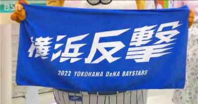 いよいよ新潟決戦 横浜DeNAが前日練習 巨人戦に臨む