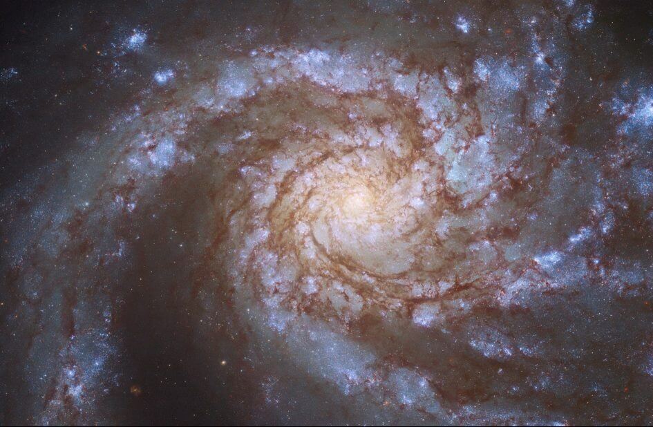 グランドデザイン渦巻銀河「M99」ハッブル宇宙望遠鏡が撮影