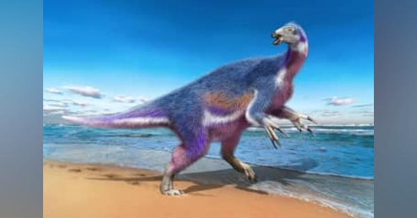 北海道で新種の恐竜化石　白亜紀、細長いかぎ爪が特徴