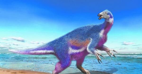 岡山理大など調査 恐竜化石は新種　北海道で発見、英学術誌に発表