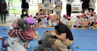 羊の毛刈り、園児が挑戦　熊本市のかもめ幼稚園