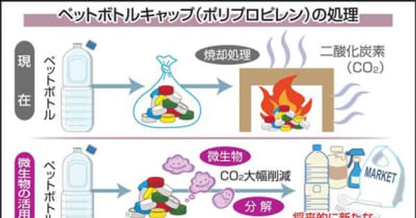 プラ分解する微生物発見　福島大学研究グループが世界初　リサイクル困難ペットボトルキャップ、焼却せず製品化も