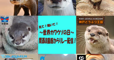 世界カワウソの日、関西8つの動物園・水族館がSNSで合同配信イベント5月22日