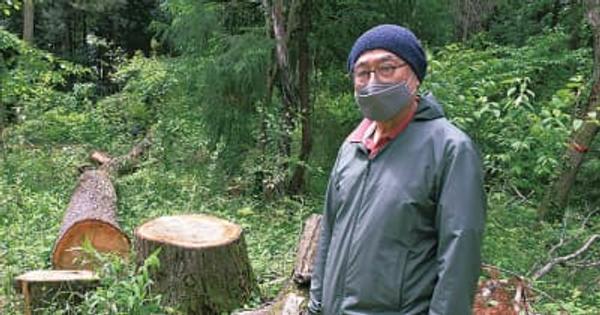 ＧＲＯＵＰ創造と森の声 ボランティアと森再生へ 伐採木利用し体験企画　横浜市緑区