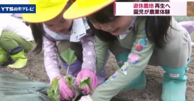 遊休農地で園児がサツマイモの苗植える 村山市