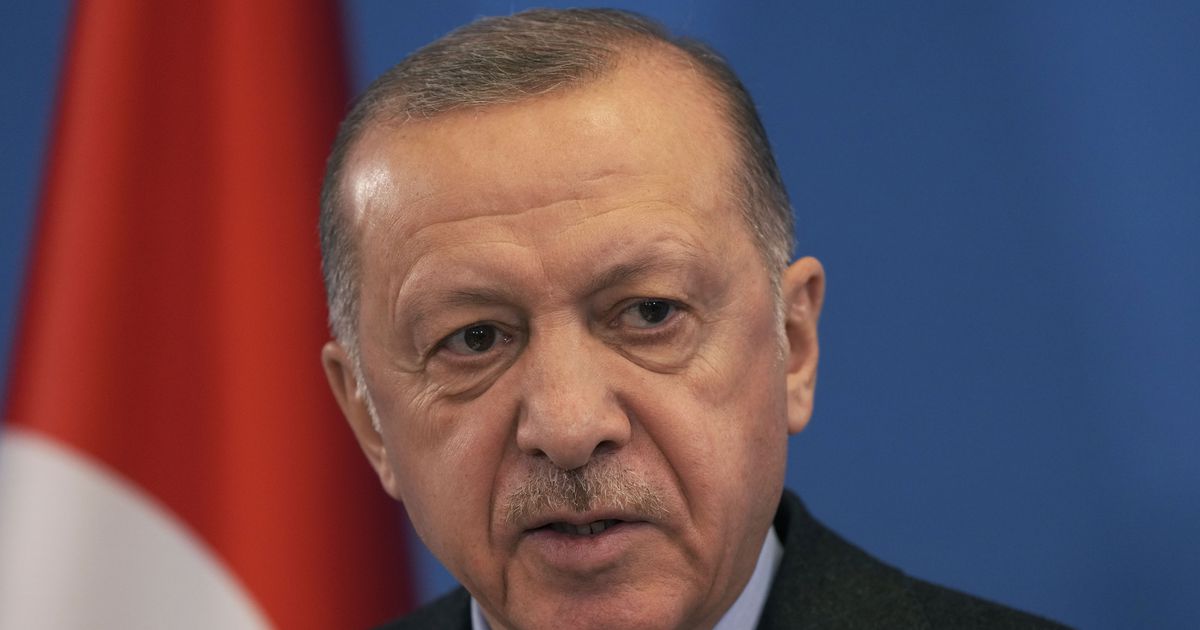 トルコ大統領、北欧２カ国のＮＡＴＯ加盟に否定的