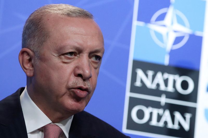 トルコ、北欧2国のＮＡＴＯ加盟支持せず　「テロリストの拠点」