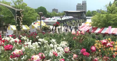 ３年ぶりの現地開催　「福山ばら祭」始まる