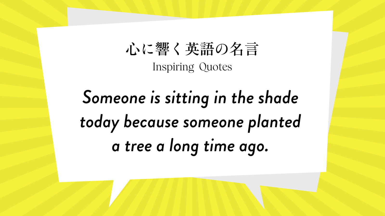 今週の名言 Someone Is Sitting In The Shade Today Because Someone Planted A Tree A Long Time Ago Inspiring Quotes 心に響く英語の名言