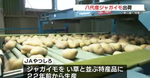 い草に続く八代の特産へ　ジャガイモの出荷始まる【熊本】