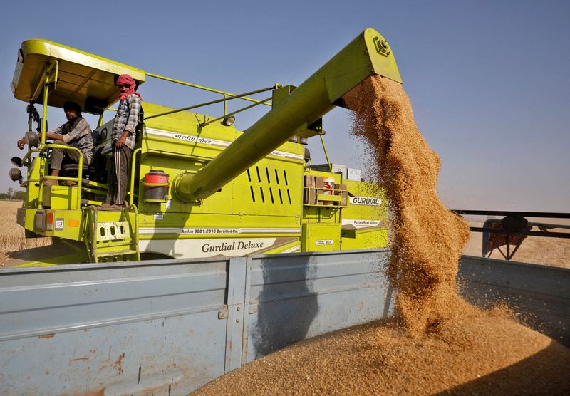 小麦生産2位のインドが輸出停止、国内価格を抑制