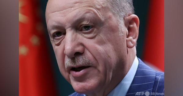 トルコ、北欧2国NATO加盟に反対 エルドアン大統領が明言