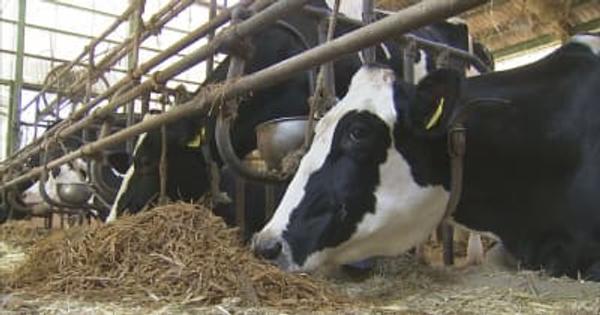コメ農家が飼料生産「耕畜連携」輸入エサの高騰に悩む畜産農家が注目　　山梨