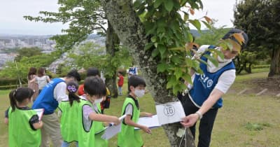 桜の保護、ゲームで学ぶ　茨城・日立のかみね公園で親子60人