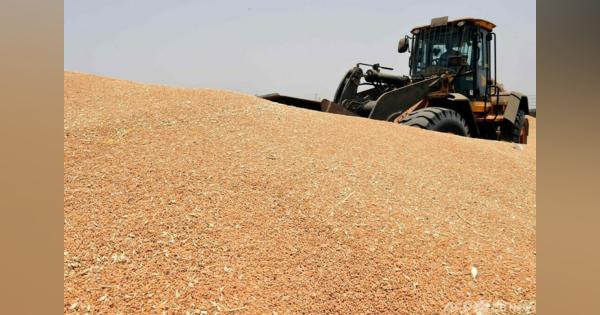 ウクライナの穀物輸出容認を 国連、ロシアに要請