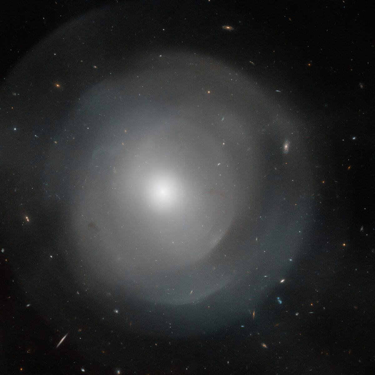 まるで宇宙に咲いた一輪の花。ハッブルが撮影した楕円銀河「NGC 474」