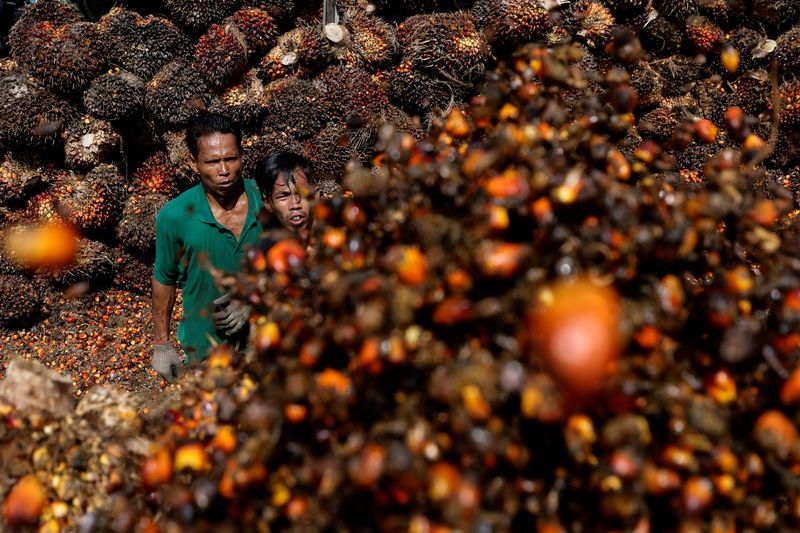 インドネシア、23日にパーム油輸出禁止解除へ＝大統領