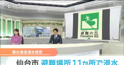 避難場所１１カ所が浸水 高さ10メートルでも 宮城県の新たな津波浸水想定で 仙台市