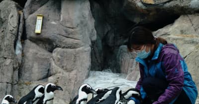 上海動物園の動物、感染症下でもきめ細かな世話